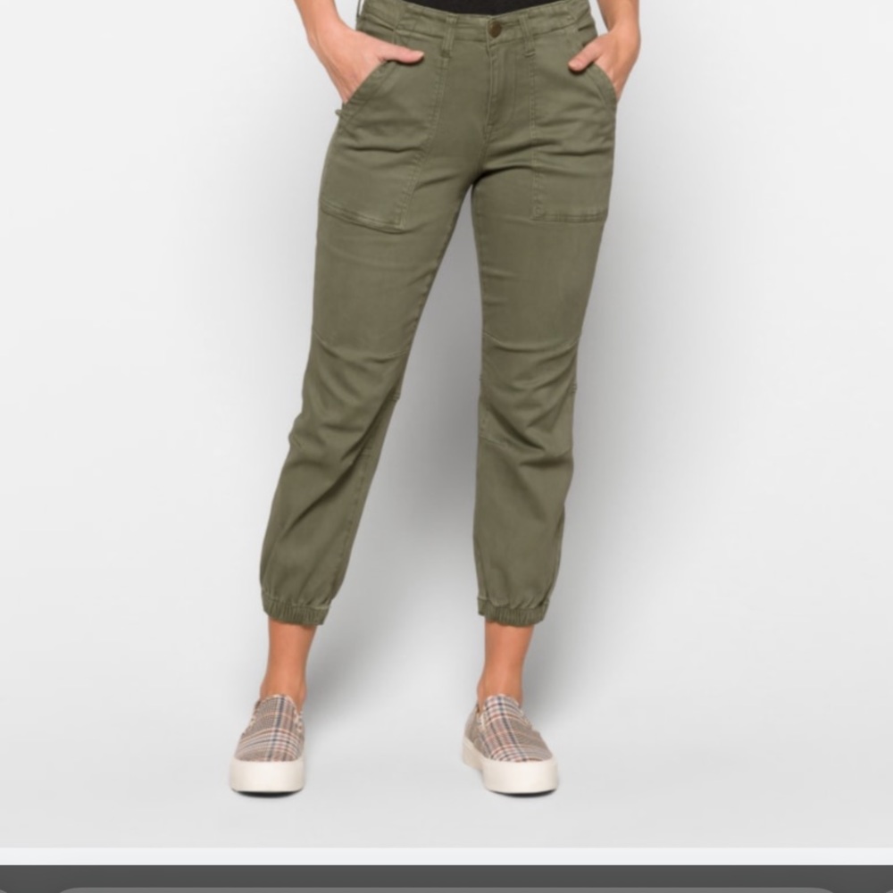 Size 16 (33) cropped elastic ankle Pant Green BBJ Los Angeles Stitch Fix